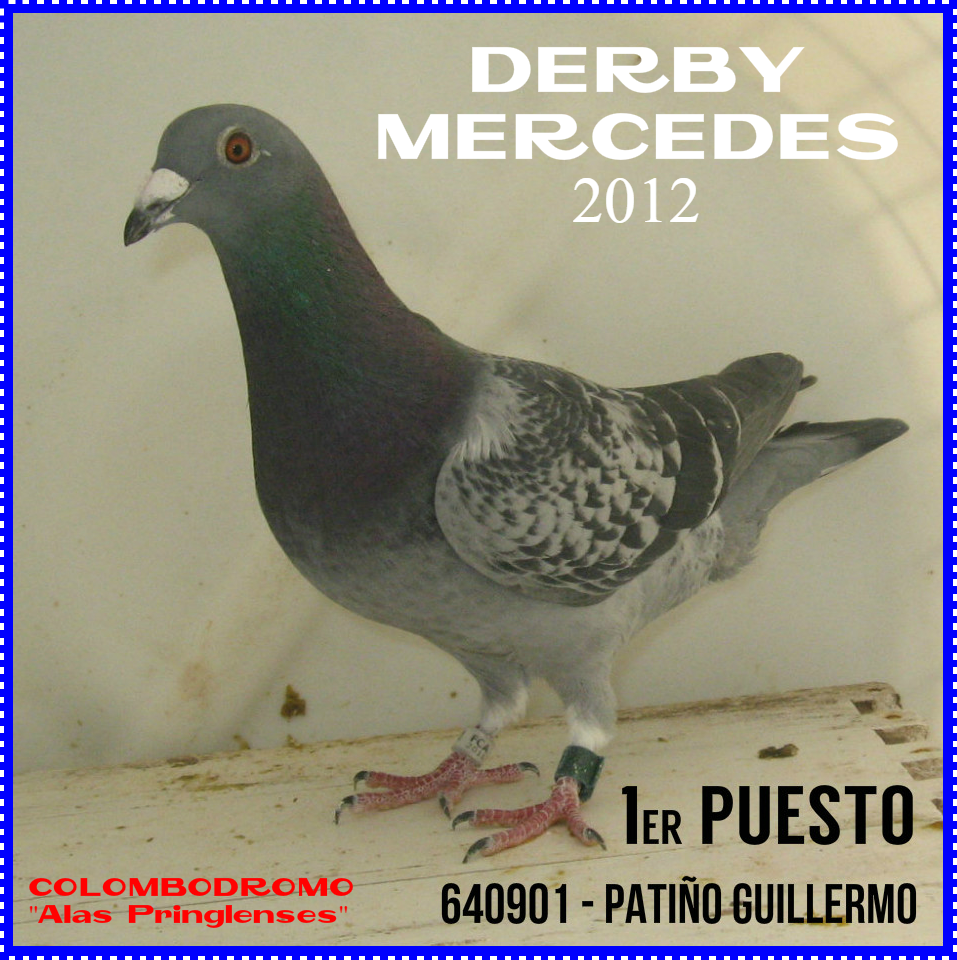 paloma1drby12